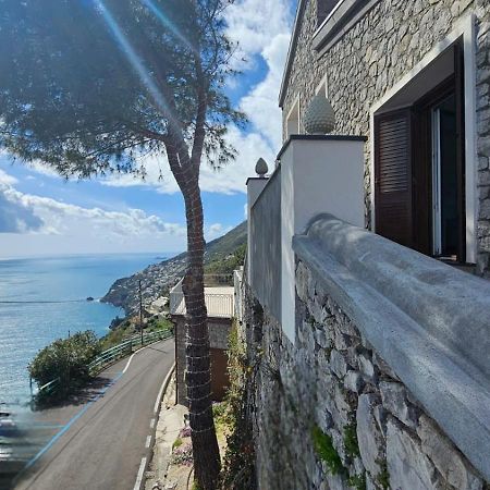Villa Furoris Apartment フローレ エクステリア 写真