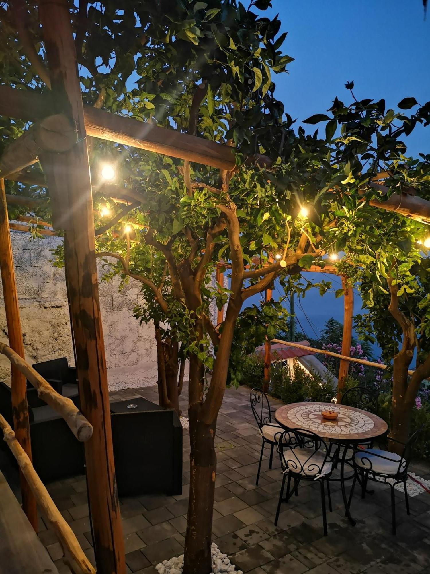 Villa Furoris Apartment フローレ エクステリア 写真