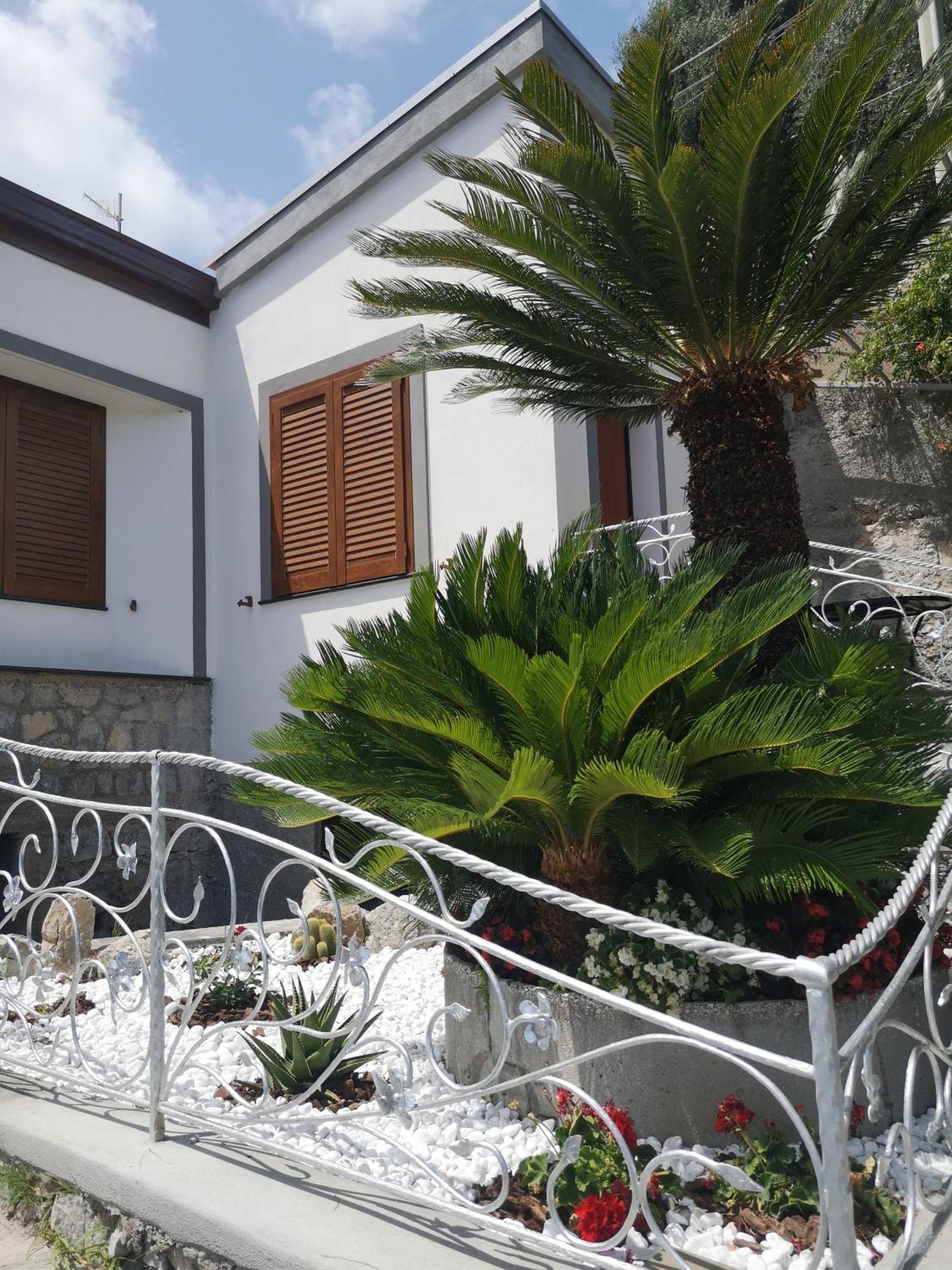 Villa Furoris Apartment フローレ エクステリア 写真